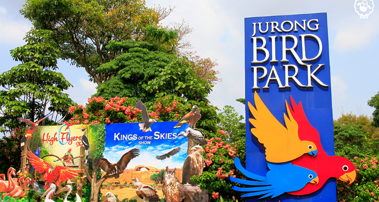 Jurong Bird Park | Best Singapore tour Package