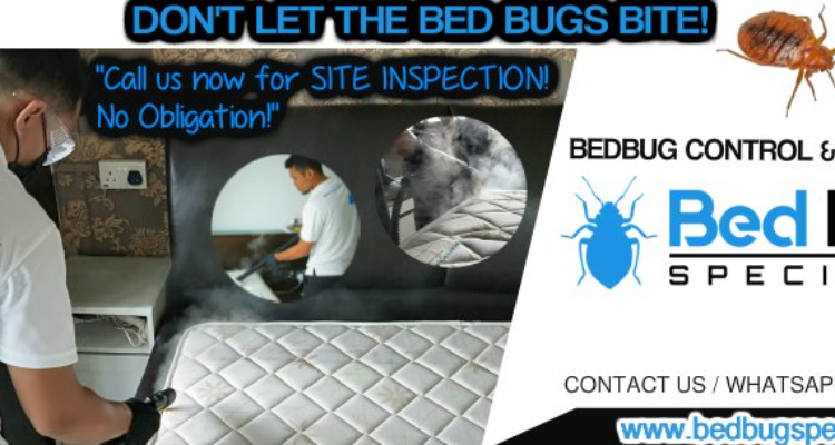 Bed Bug Specialist Singapore