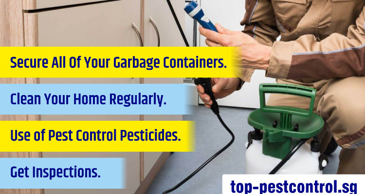 Top Pest Control Pte Ltd, Singapore | Home & Commercial Pest Control Services
