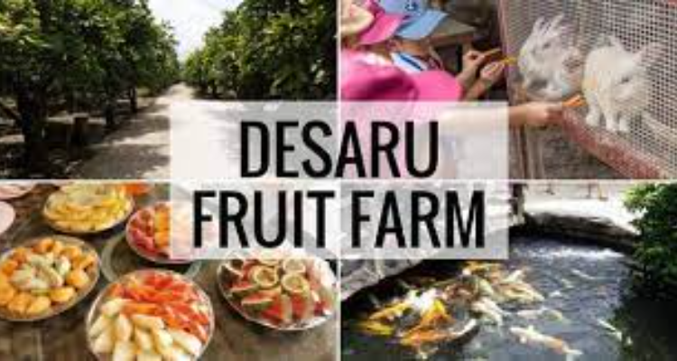 Desaru Fruit Farm | Best Singapore Tour Package